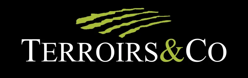 Terroirs & Co, un fournisseur de vins de qualité dédié aux professionnels à Lyon et en Bourgogne TERROIRS & CO